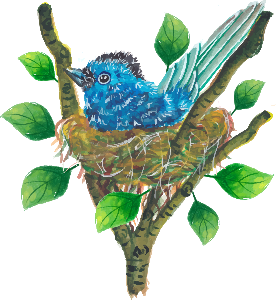 a blue bird sitting on a nest